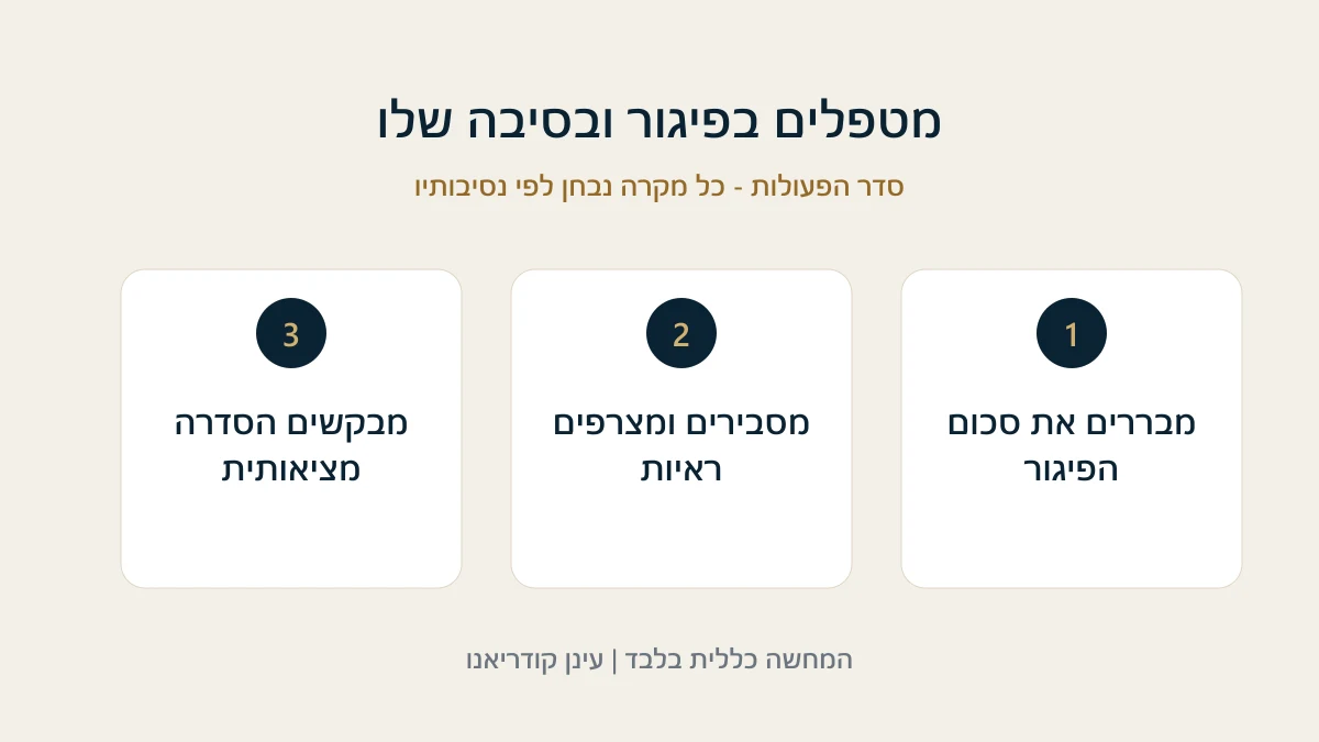 מטפלים בפיגור ובסיבה שלו מבררים את סכום הפיגור - מסבירים ומצרפים ראיות - מבקשים הסדרה מציאותית